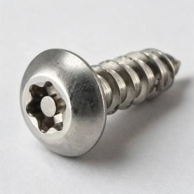Kev ruaj ntseg Sheet Hlau Screws